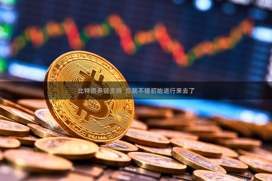 比特派多链支持  你就不错初始进行来去了