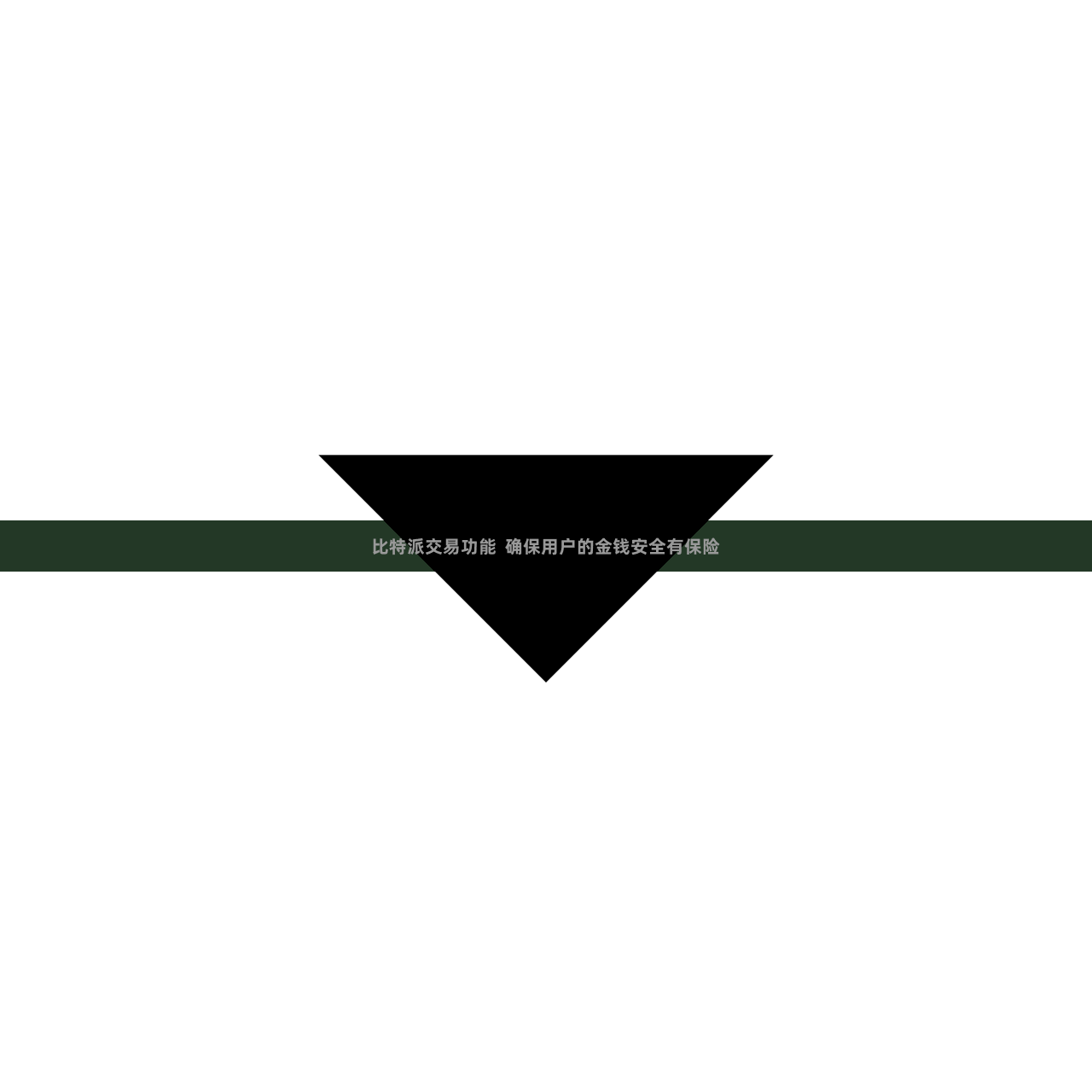 比特派交易功能  确保用户的金钱安全有保险