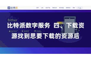比特派数字服务  四、下载资源找到思要下载的资源后