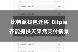 比特派钱包迁移  Bitpie齐能提供天果然支付情景