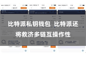 比特派私钥钱包  比特派还将救济多链互操作性